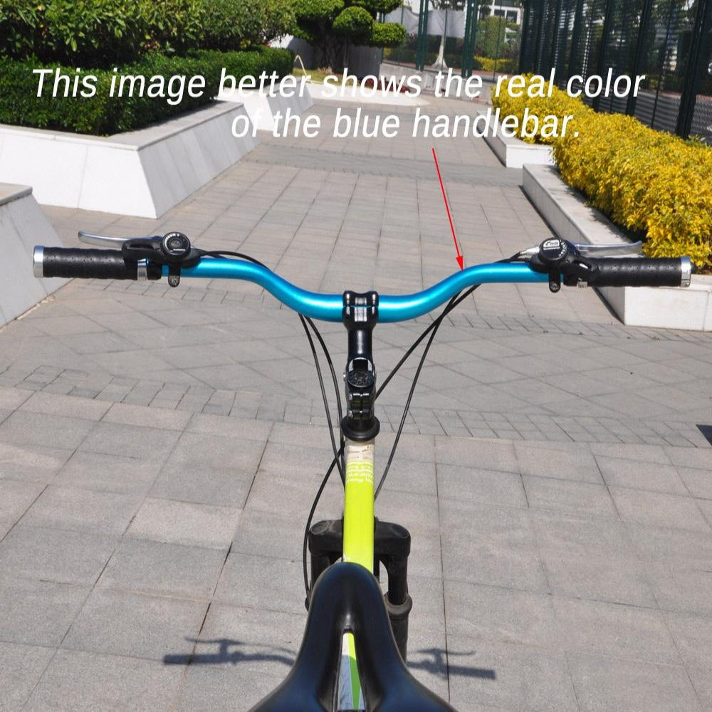 UPANBIKE Bike Handlebar Extra Long Riser Bar φ31.8mm 700mm B148 - UPANBIKE